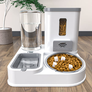 Discover the Ultimate Pet Feeding and Drinking Station Bowl Set!