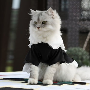 Stylish Pet Clothes for Comfort and Fashion
