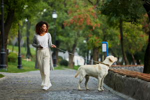 Safe and Durable Pet Leashes for Daily Walks