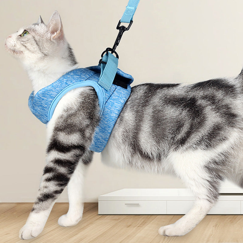 Breathable Lightweight Pet Chest Harness Lace Rope Leash