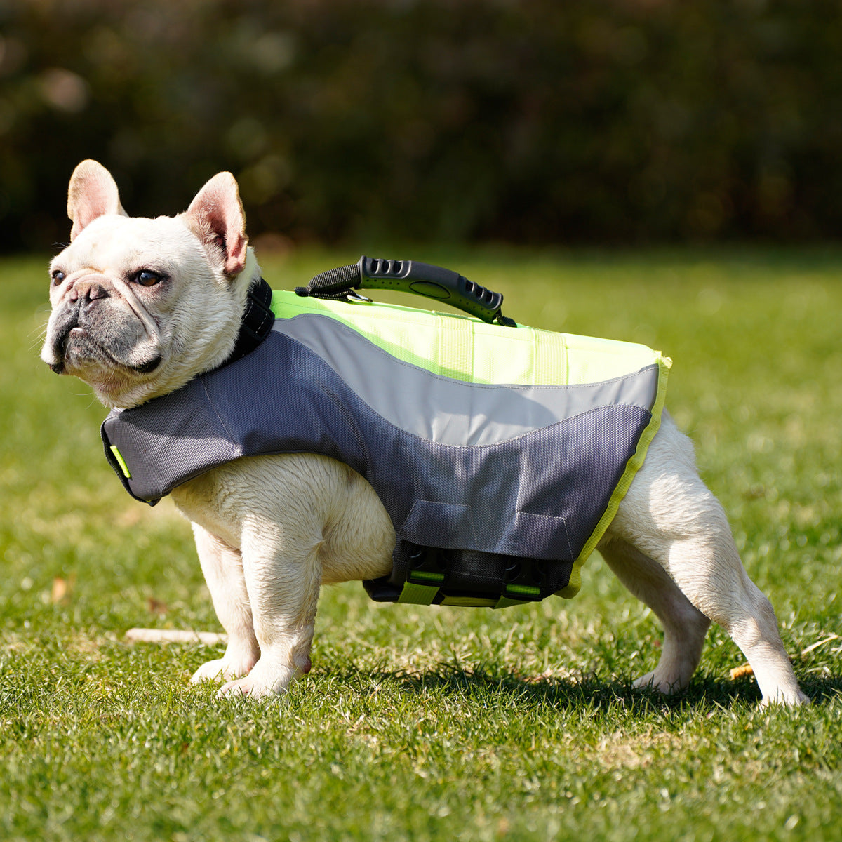 Reflective Pet Life Jacket Swimsuit Safety Vest