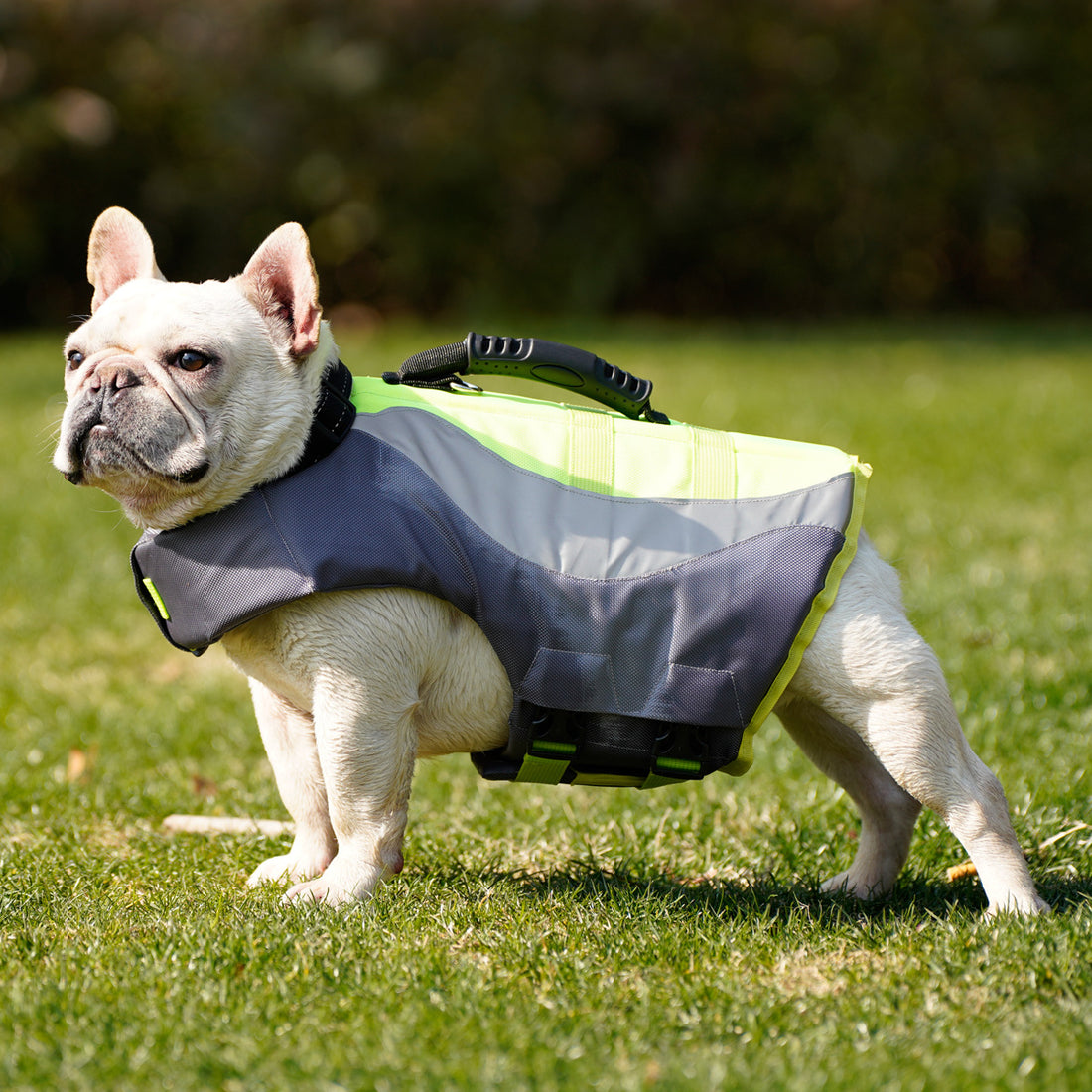 Reflective Pet Life Jacket Swimsuit Safety Vest