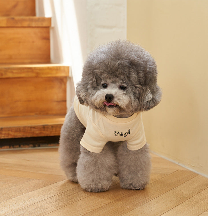 Korean Style Cotton Printed Short Sleeve Pet T-Shirt
