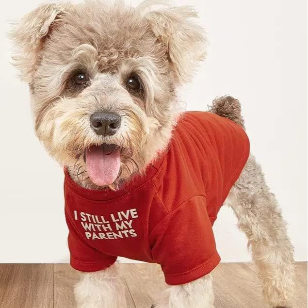Round Neck Pet T Shirt Casual Comfortable Wear