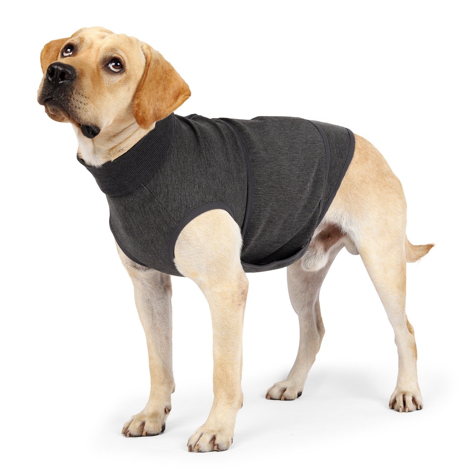 Polyester Comfort Cotton Double Layer Pet Jacket