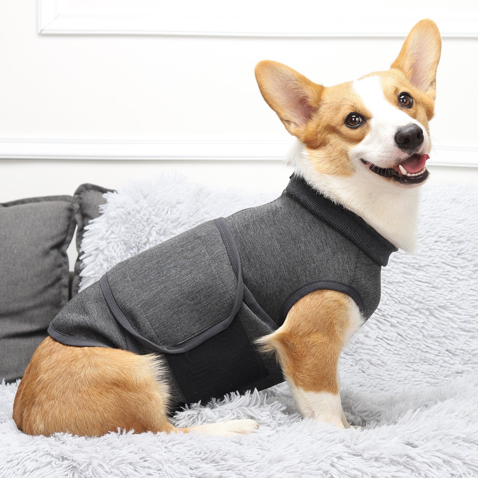 Polyester Comfort Cotton Double Layer Pet Jacket
