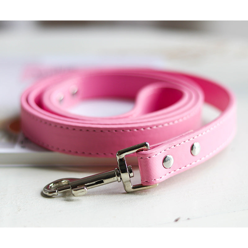 Adjustable Pet Leash And Collar Set Durable Walking Accessory