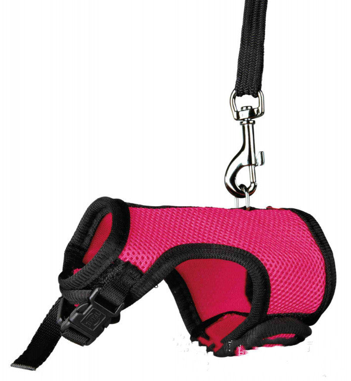Compact Pet Leash Lightweight Durable For Everyday Walking