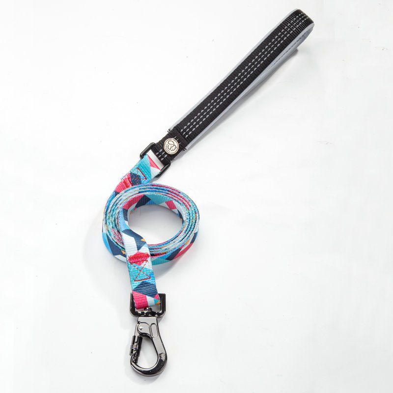 Durable Pet Leash Comfortable Secure Everyday Walking Lead