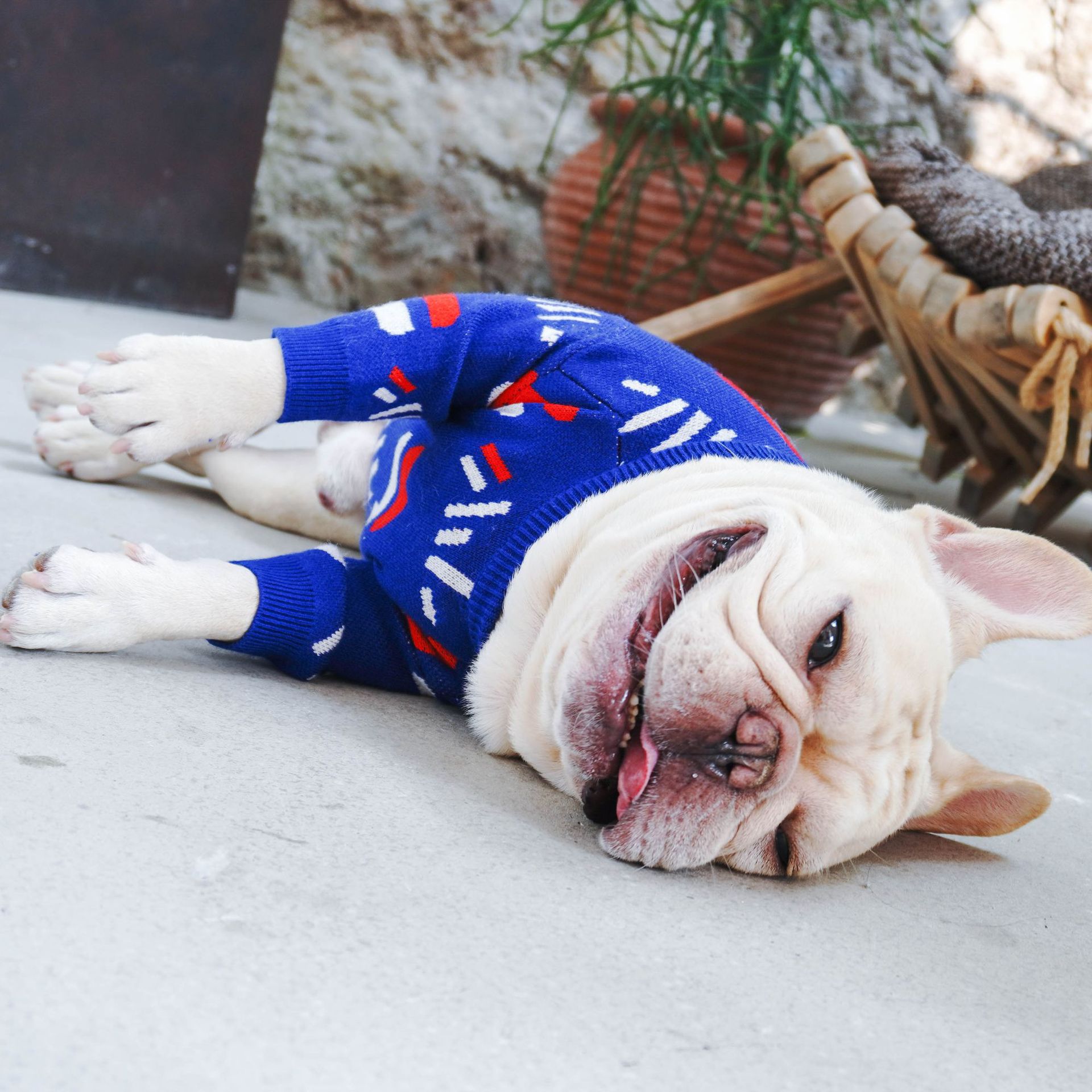 Warm Pet Sweater Cozy Comfortable Everyday Wear