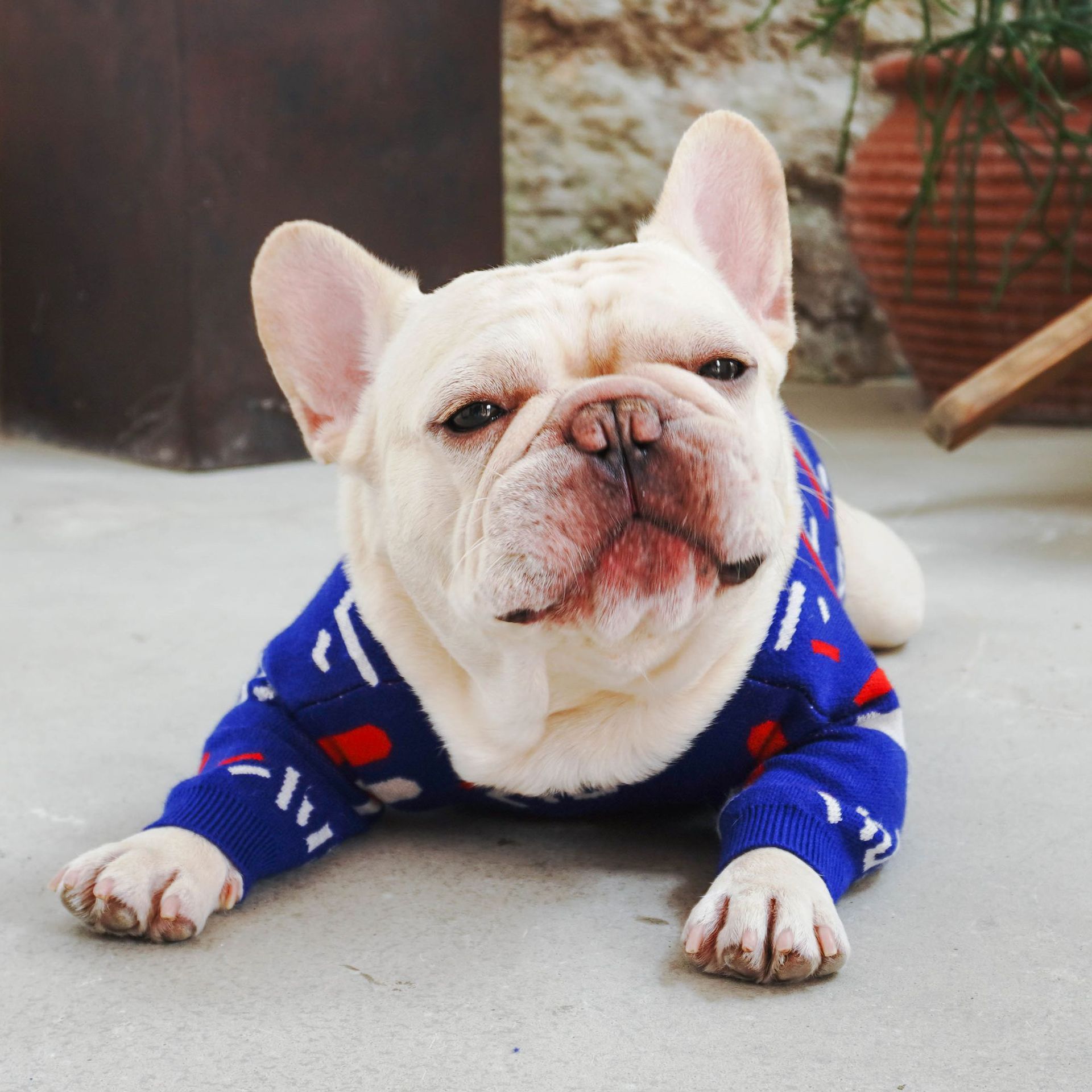 Warm Pet Sweater Cozy Comfortable Everyday Wear