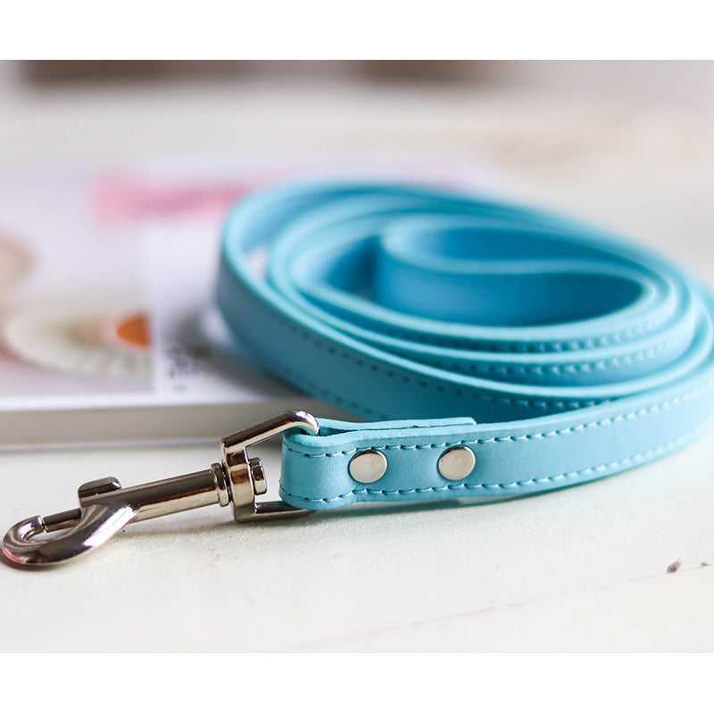 Adjustable Pet Leash And Collar Set Durable Walking Accessory
