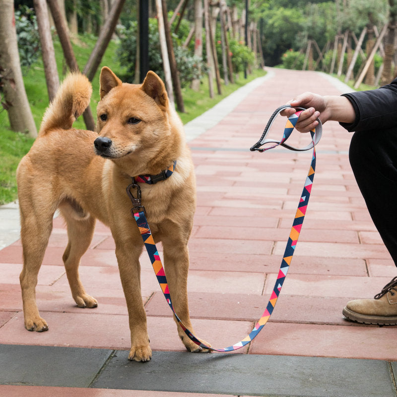 Durable Pet Leash Comfortable Secure Everyday Walking Lead