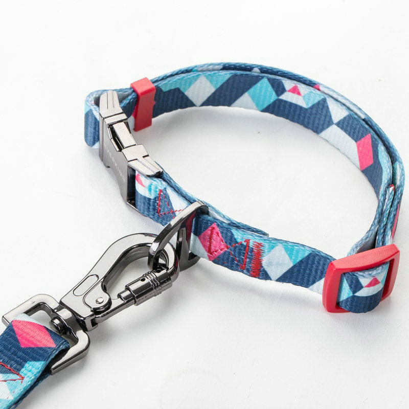 Durable Pet Leash Comfortable Secure Everyday Walking Lead