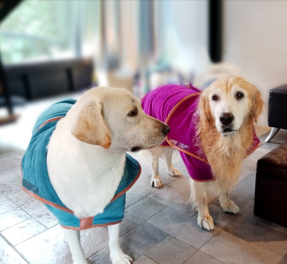Quick Drying Absorbent Pet Bath Towel