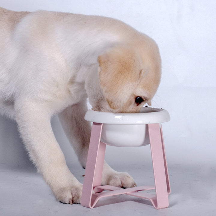 Anti Slip Pet Feeding Bowl Set With Iron Stand 2 In 1 Food Water Dish