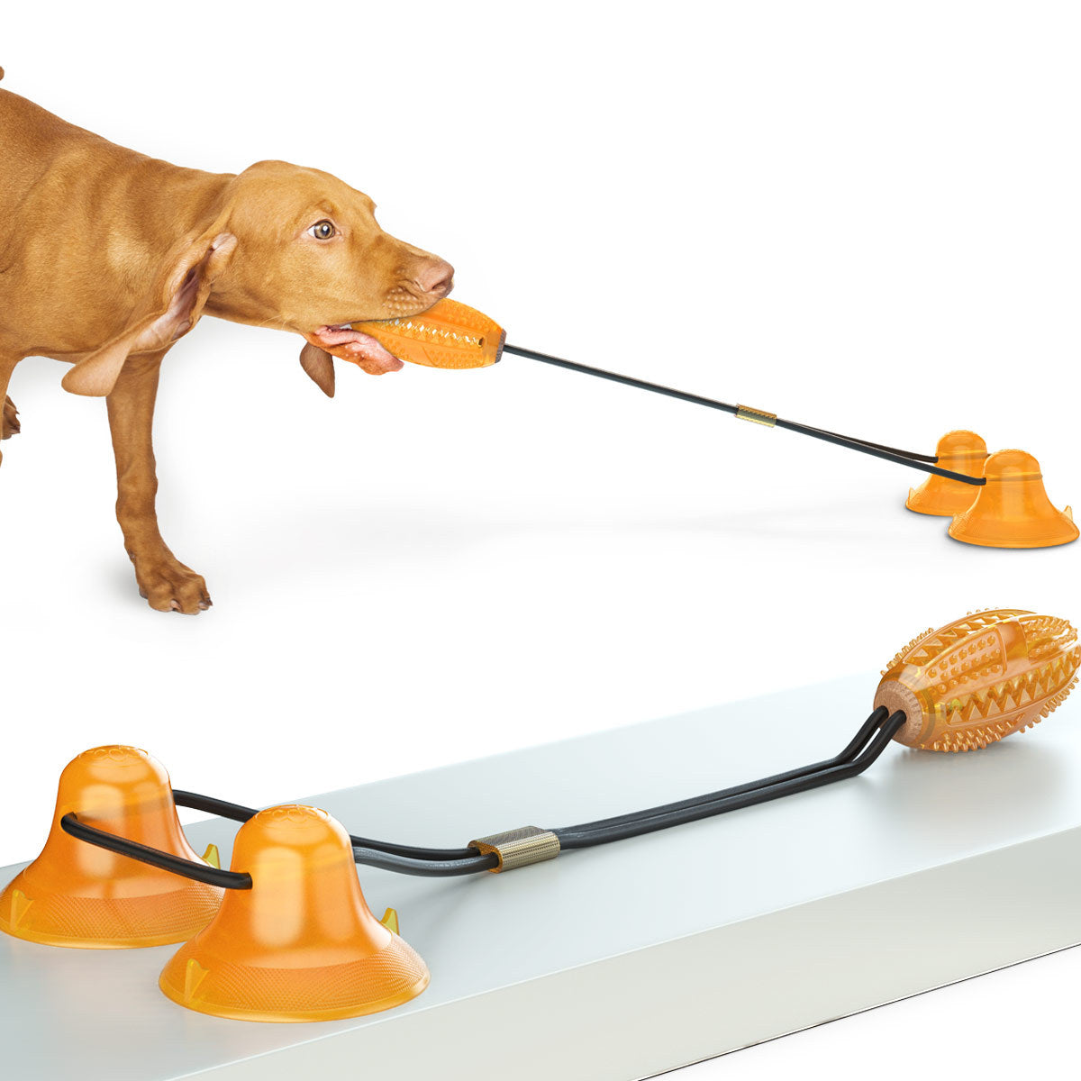 Multifunction Double Tug Rope Ball Sucker Pet Chew Toy