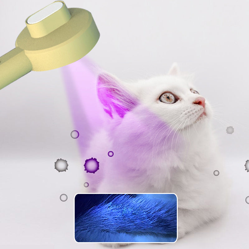 2 In 1 Pet Grooming Comb With UVC Detection Hair Remover Tool