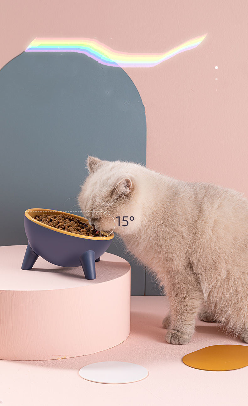 Pet Feeding Bowl With Stand Nordic Style Food Dish