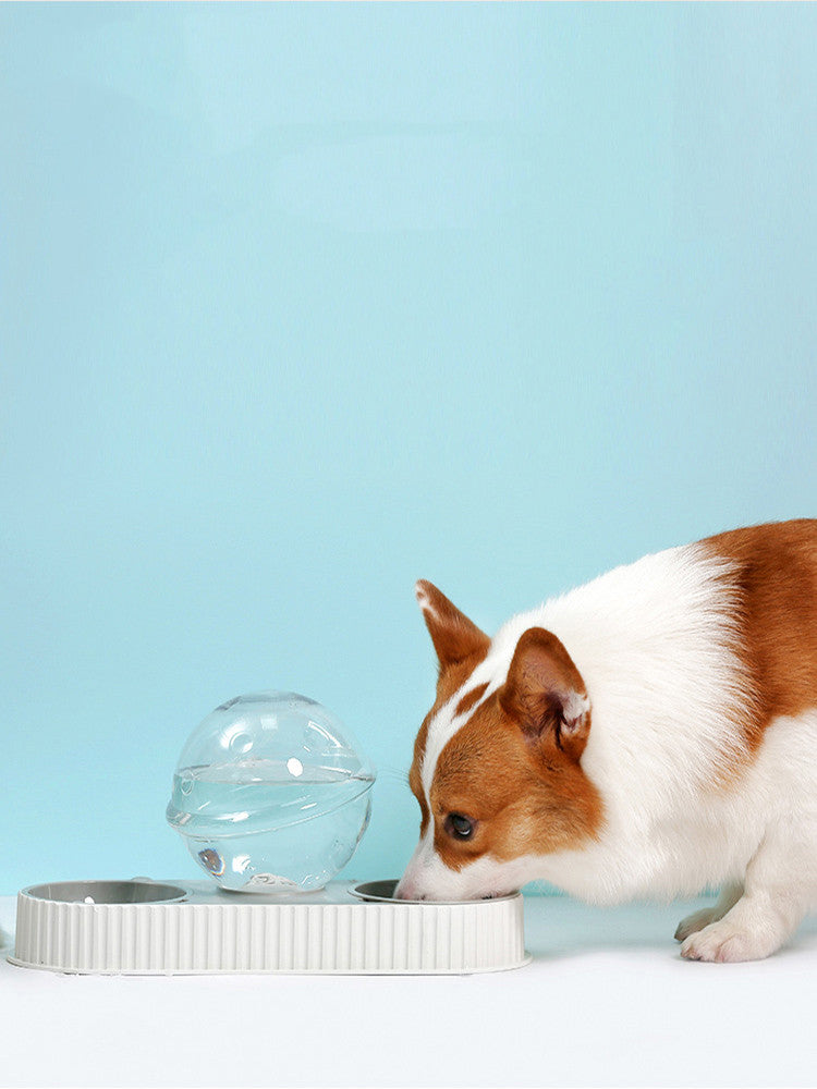 Automatic Pet Water Feeder Bowl Plastic Drinking System