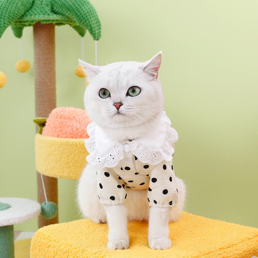 Blue Pet T Shirt Soft Comfortable Casual Wear