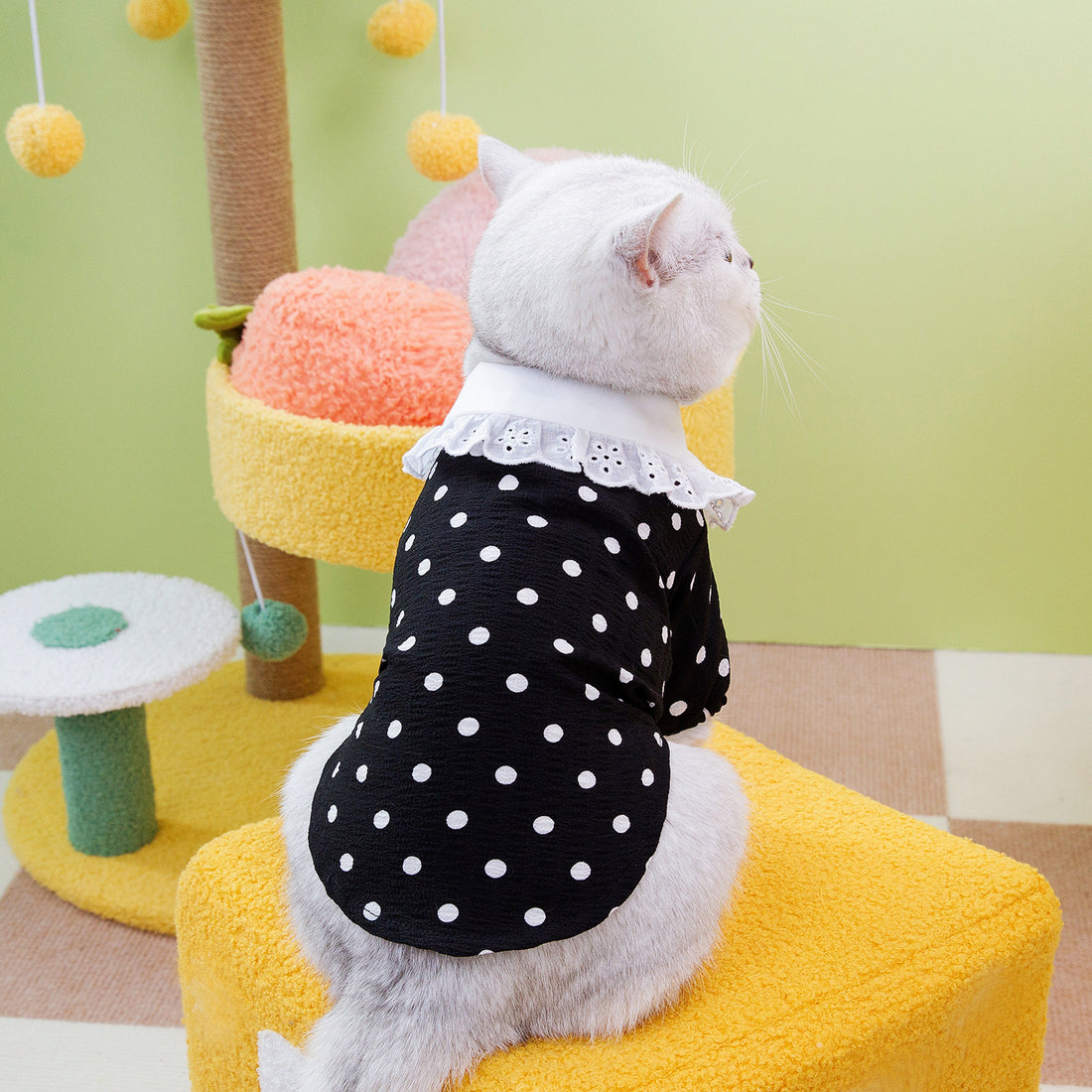 Blue Pet T Shirt Soft Comfortable Casual Wear