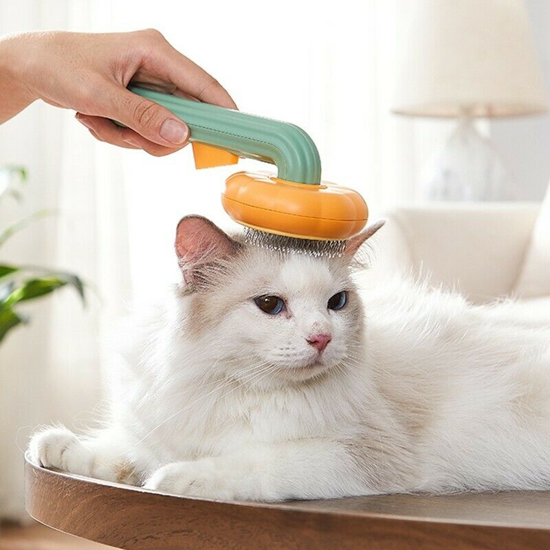 Pumpkin Design Pet Self Cleaning Grooming Slicker Brush