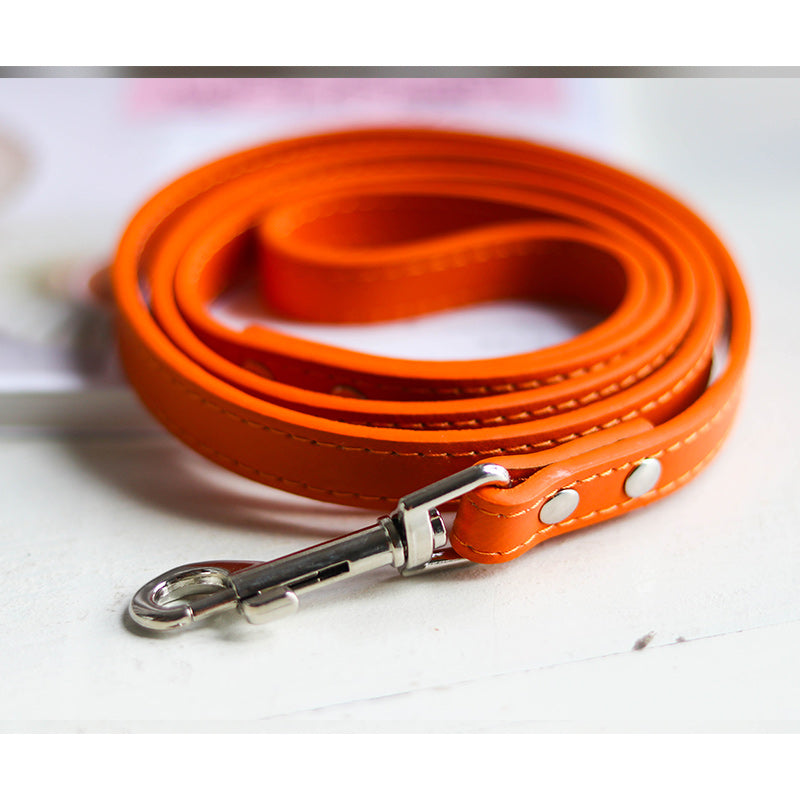 Adjustable Pet Leash And Collar Set Durable Walking Accessory