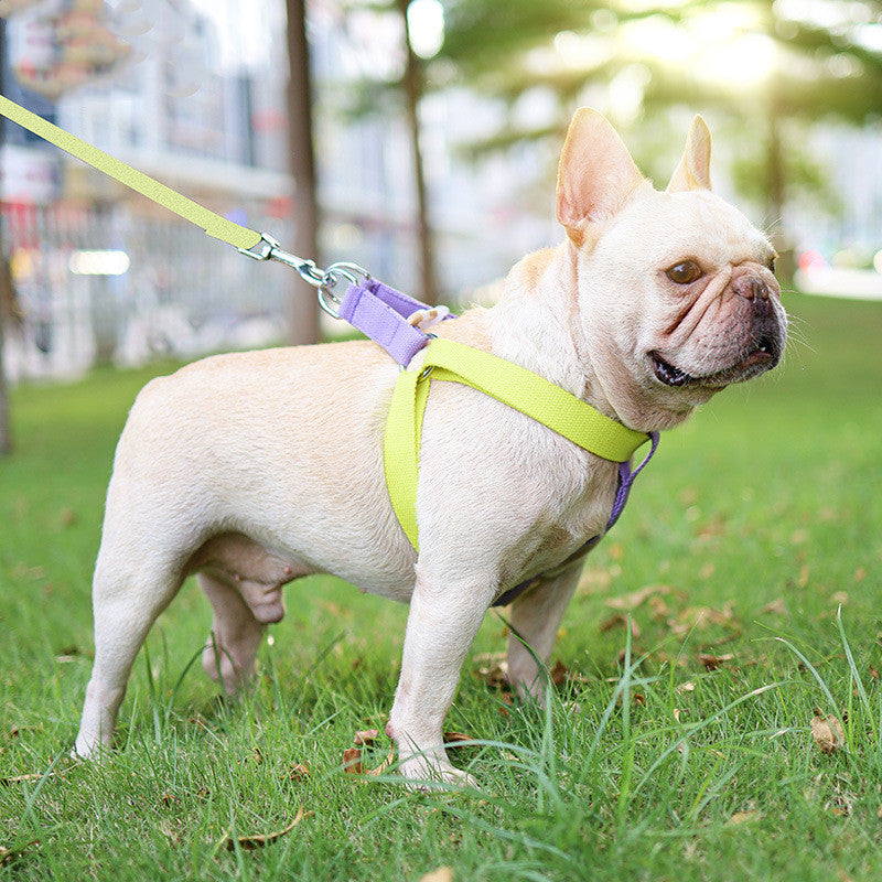 Color Drawstring Pet Vest Style Harness Leash Adjustable Walking Lead