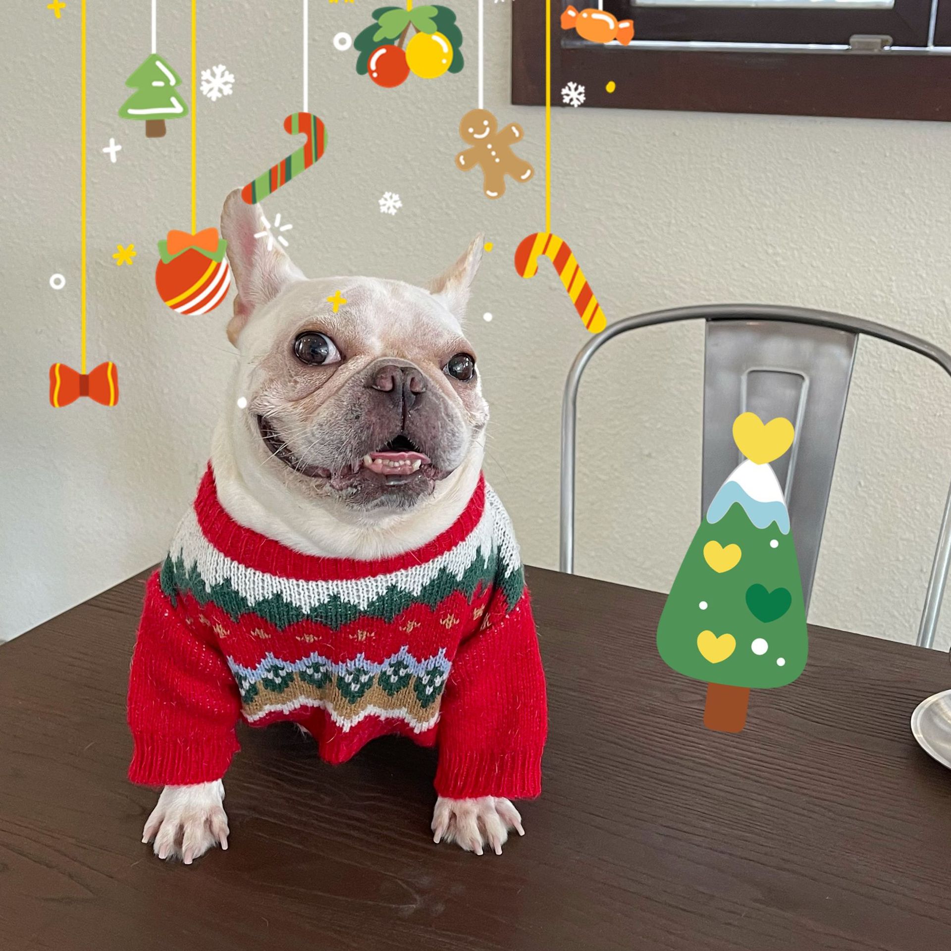 Festive Pet Christmas Sweater Cute Holiday Design