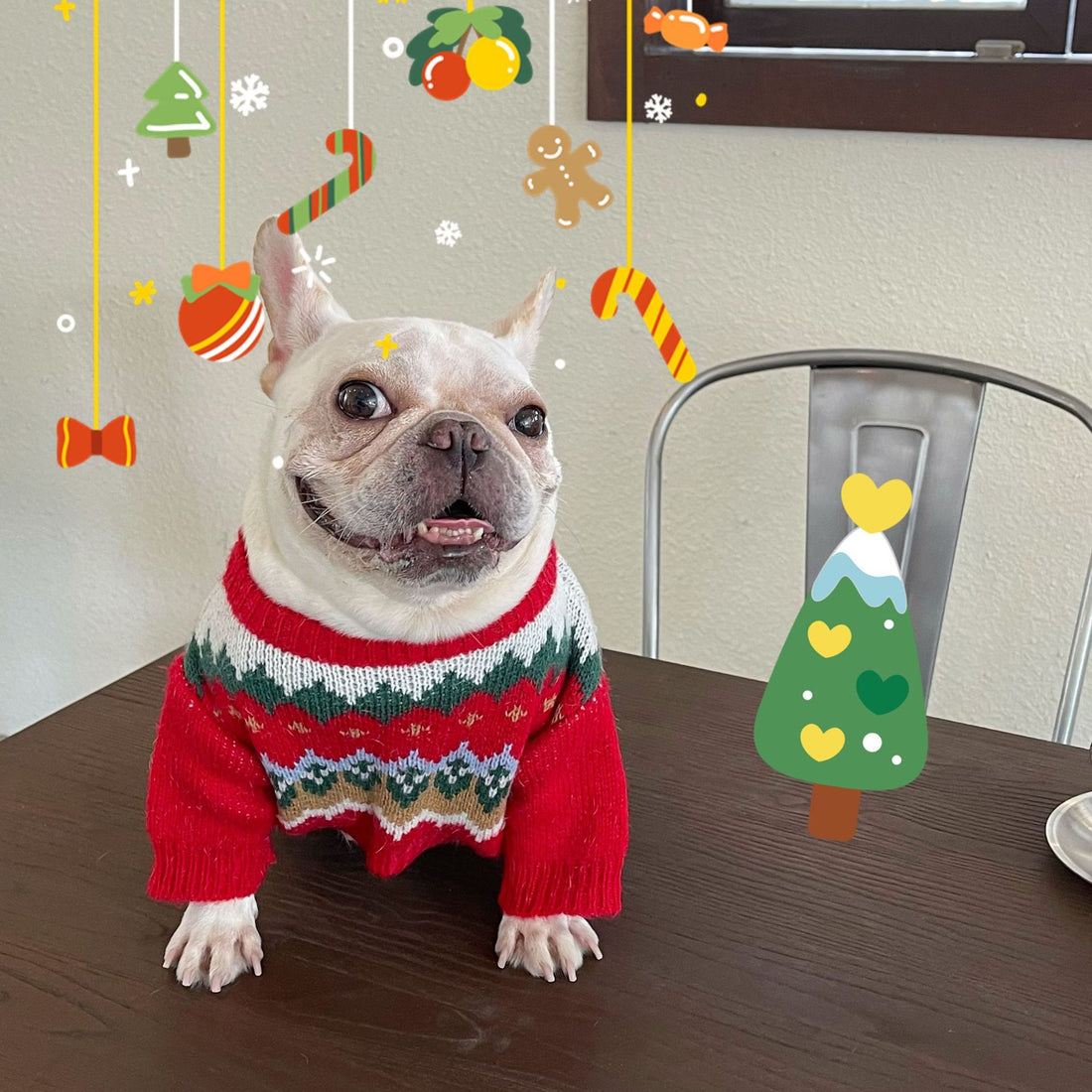 Festive Pet Christmas Sweater Cute Holiday Design