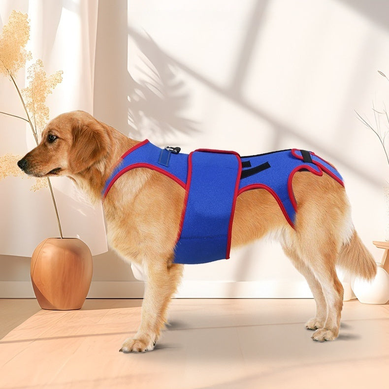 Pet Spine Support Jacket For Posture Correction Comfort