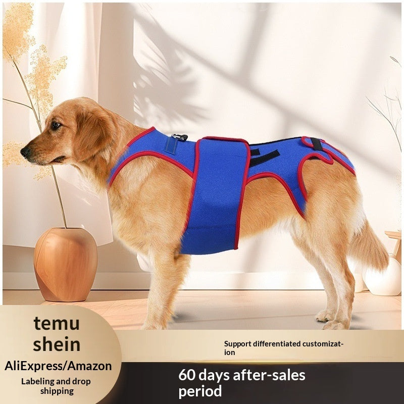 Pet Spine Support Jacket For Posture Correction Comfort