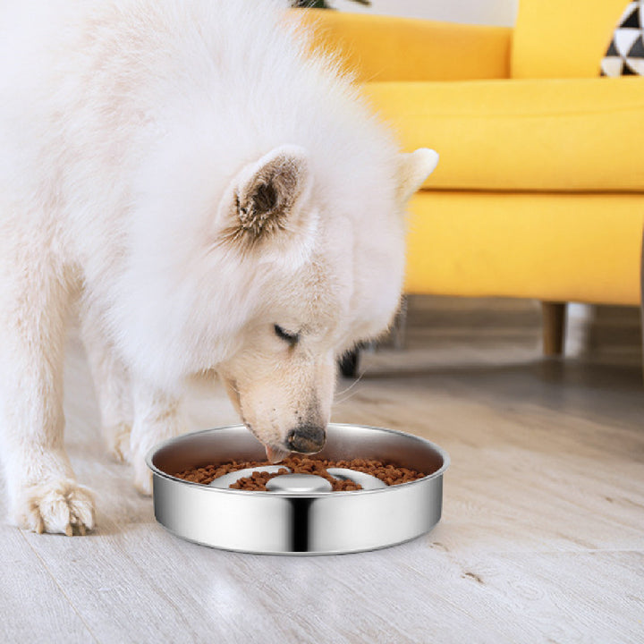 Stainless Steel Pet Slow Feeding Bowl Neck Protector Design