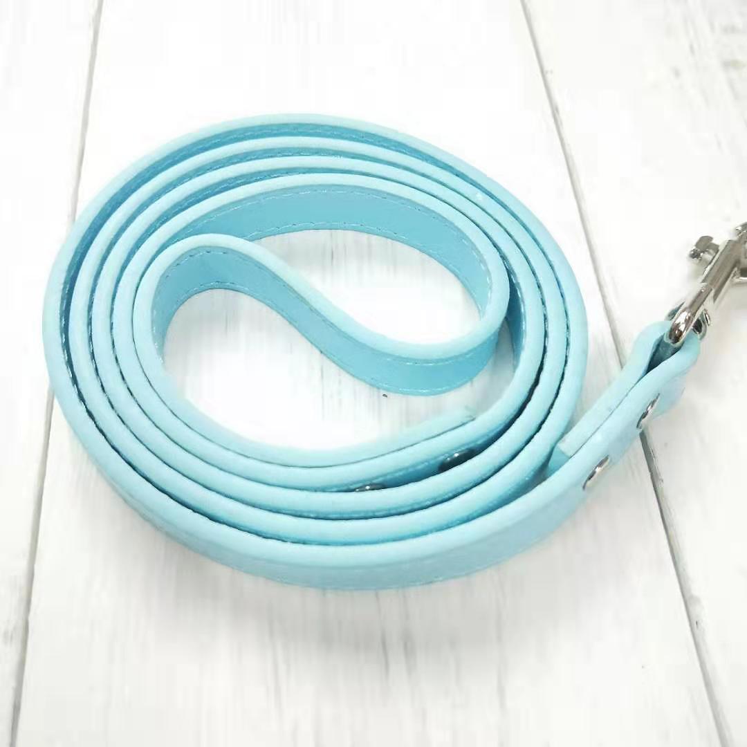 Adjustable Pet Leash And Collar Set Durable Walking Accessory