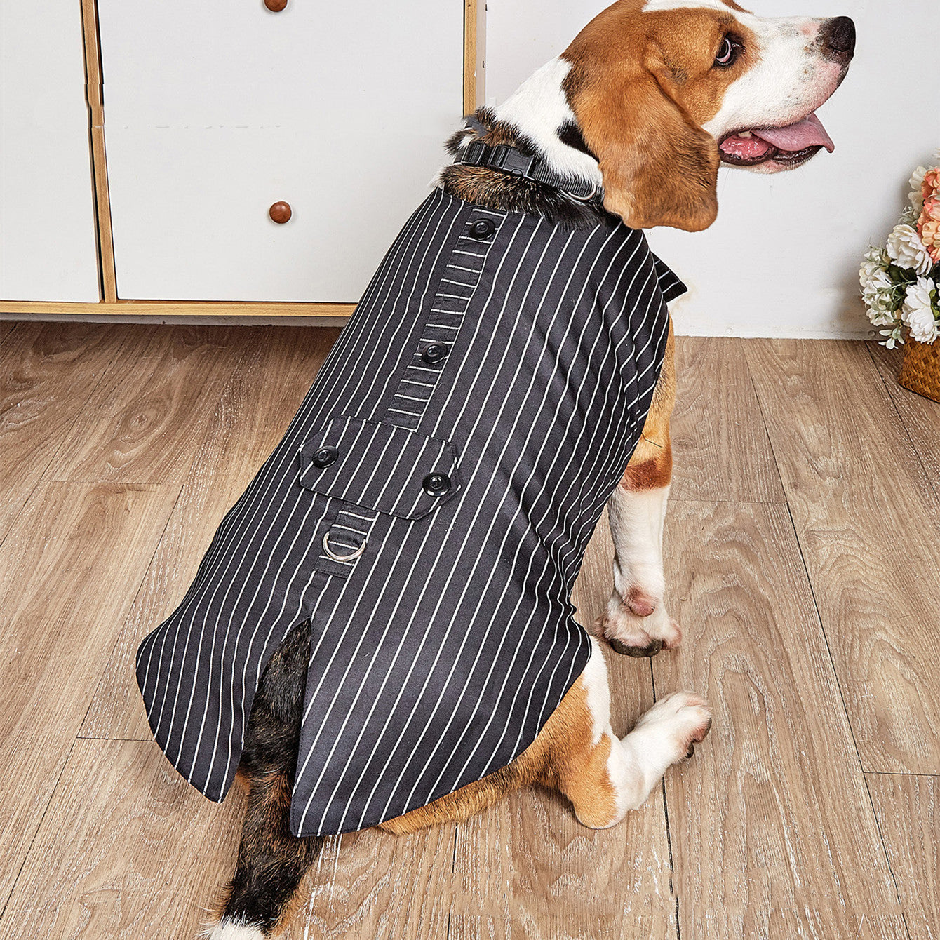 Formal Pet Swallowtail Suit Jacket Elegant Occasion Wear