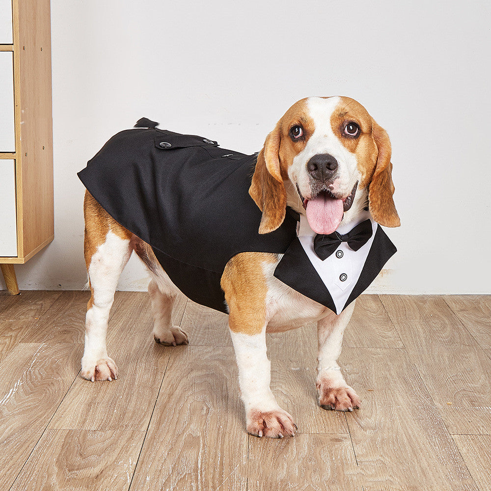 Formal Pet Swallowtail Suit Jacket Elegant Occasion Wear