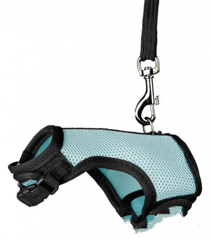 Compact Pet Leash Lightweight Durable For Everyday Walking