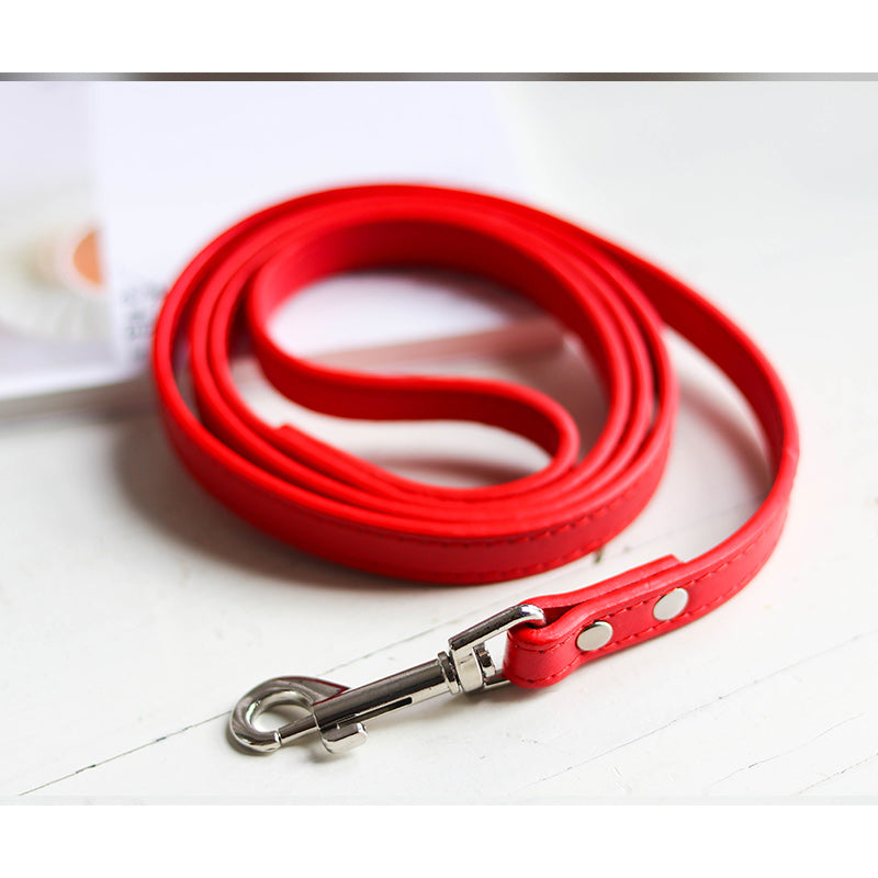 Adjustable Pet Leash And Collar Set Durable Walking Accessory