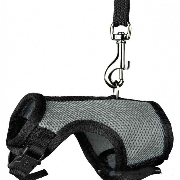Compact Pet Leash Lightweight Durable For Everyday Walking
