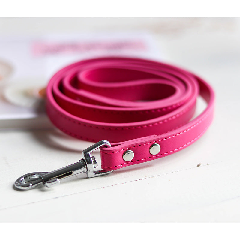 Adjustable Pet Leash And Collar Set Durable Walking Accessory