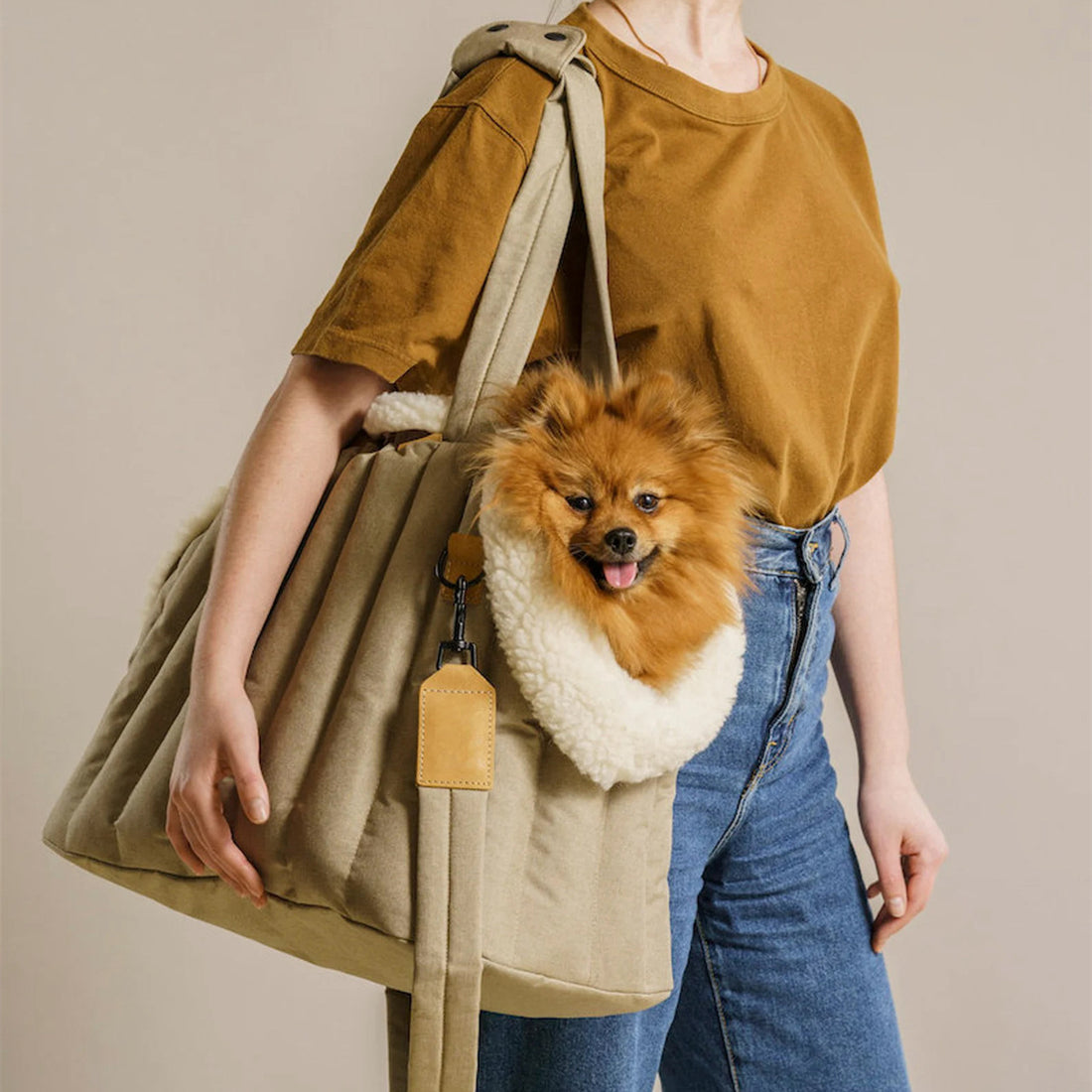 Pet Carrier Waterproof Portable Fashion Handbag Bag