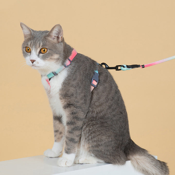 Fashion Pet Leash Secure Anti Escape Durable Walking Lead