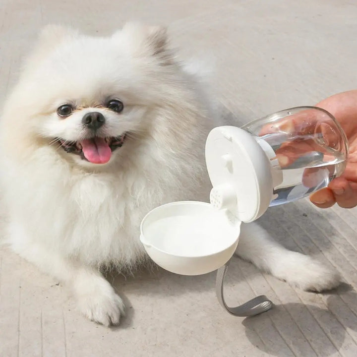 Portable Pet Water Bottle Travel Drinking Bowl With Lanyard