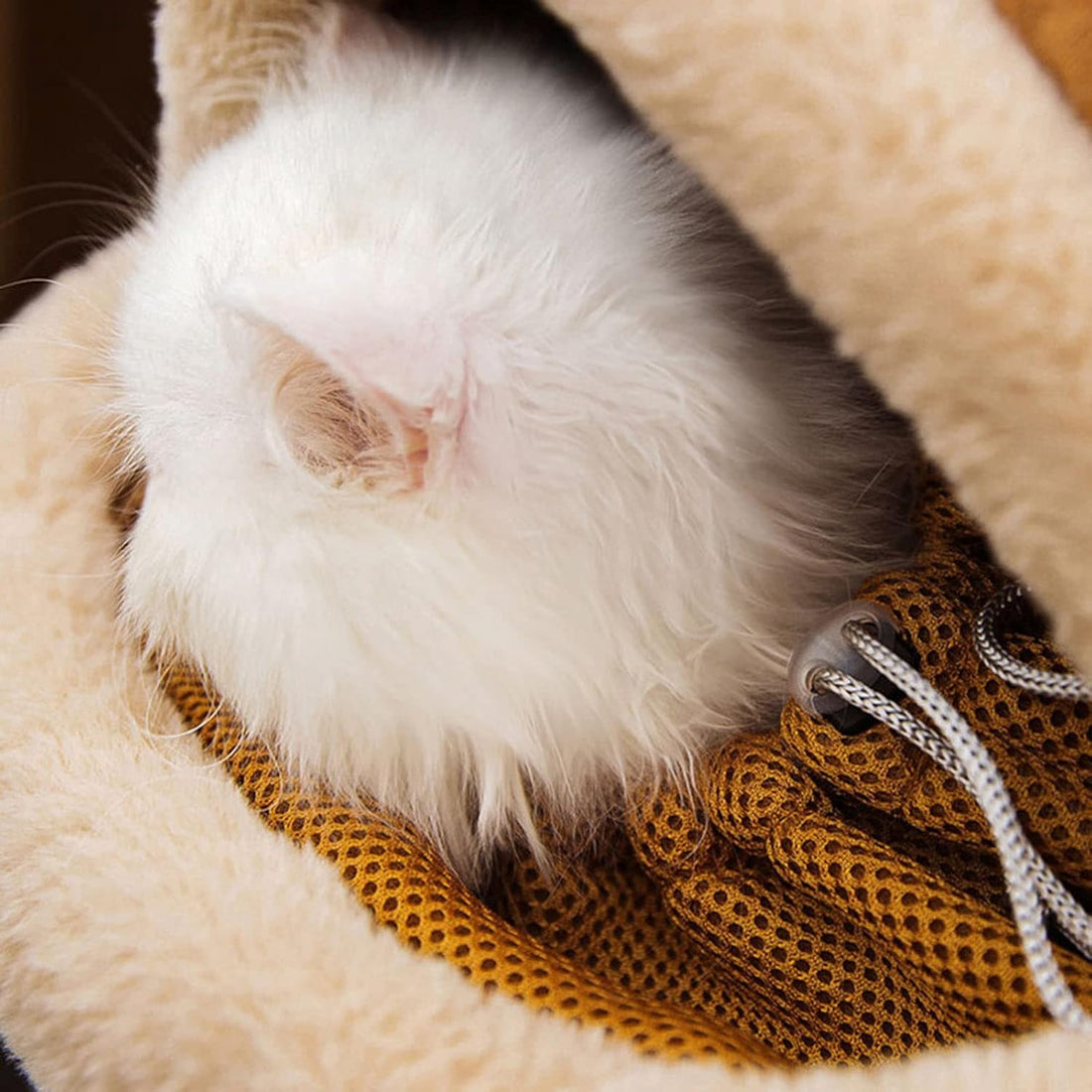 Pet Carrier Backpack Winter Plush Travel Bag