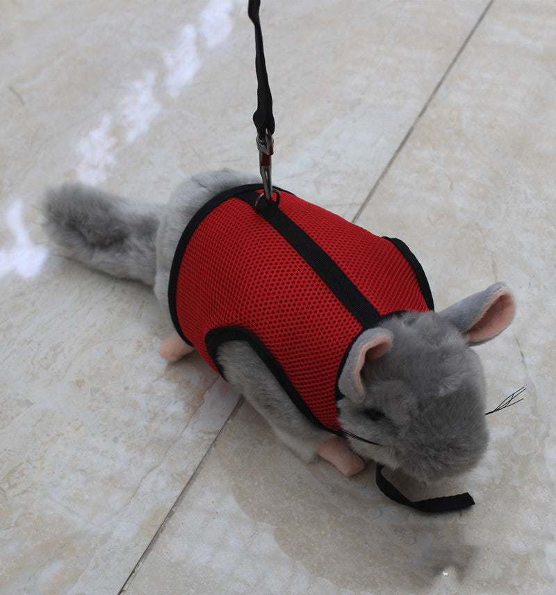 Compact Pet Leash Lightweight Durable For Everyday Walking