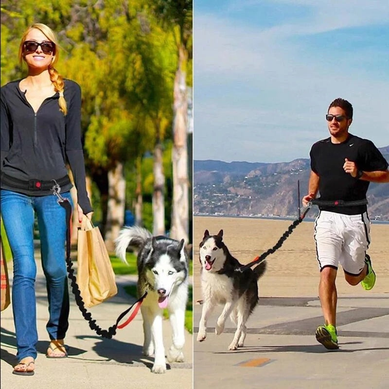 Adjustable Pet Harness And Leash Set Jogging Walking Gear