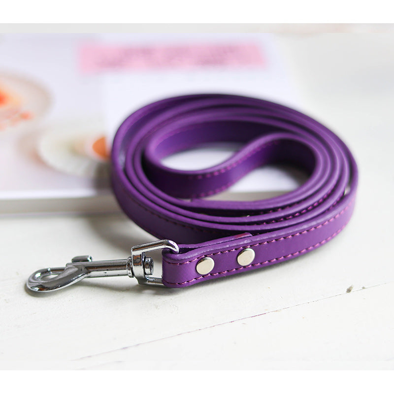 Adjustable Pet Leash And Collar Set Durable Walking Accessory