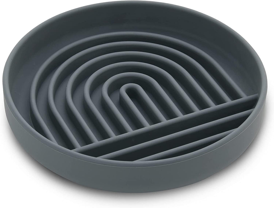 Simple Fashion Pet Slow Feeding Bowl Anti Gulp Design