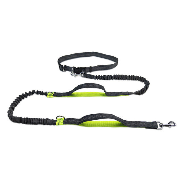 Adjustable Pet Harness And Leash Set Jogging Walking Gear